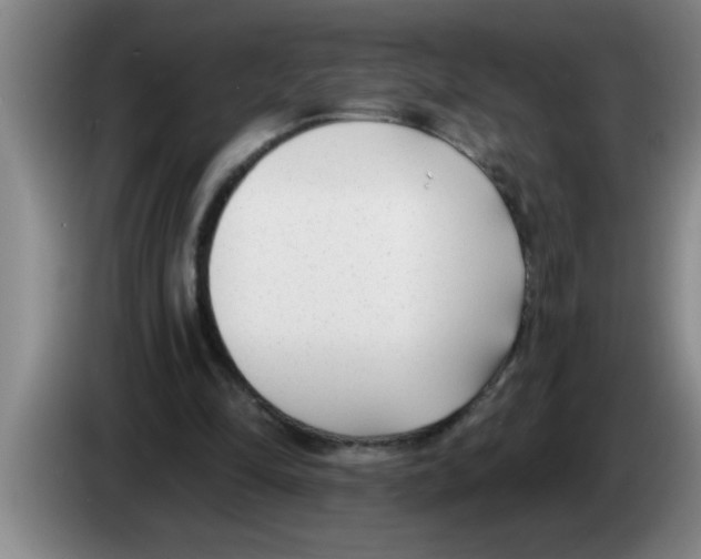 X0000083590294200703091725