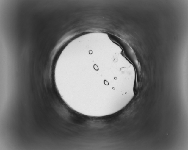 X0000083590296200703091725