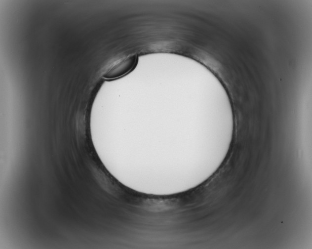 X0000083590297200703091725