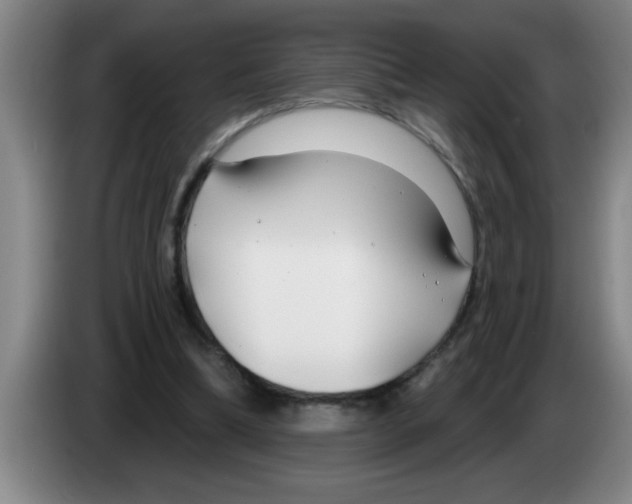 X0000083590298200703091725