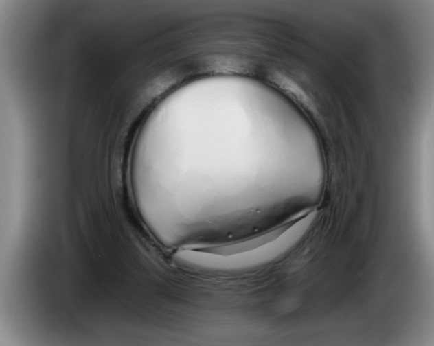 X0000083590299200703091725