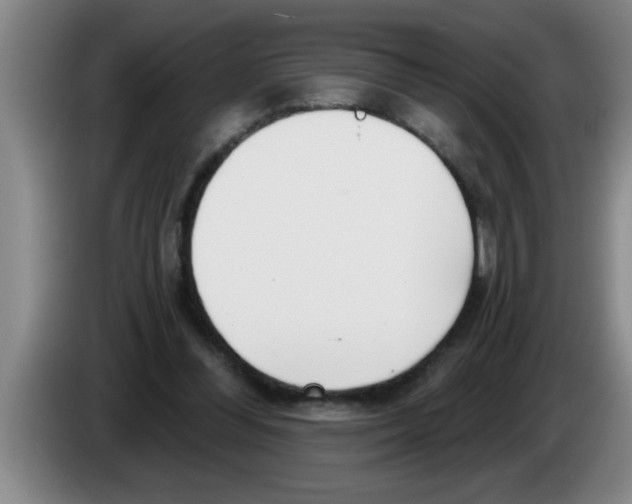 X0000083590300200703091725