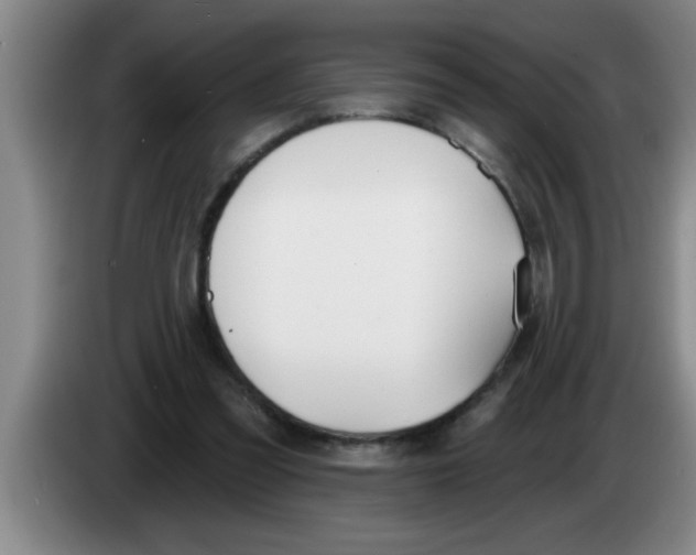 X0000083590301200703091725