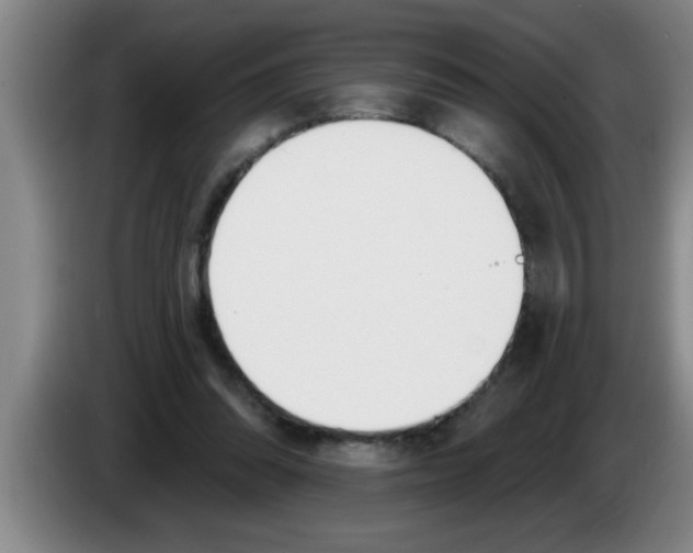 X0000083590302200703091725
