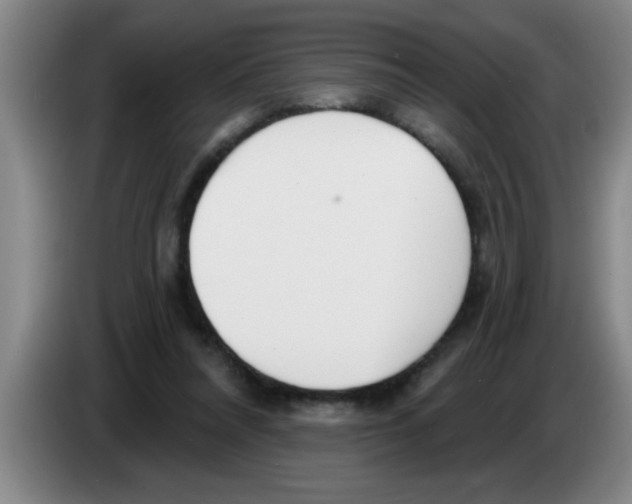 X0000083590304200703091725
