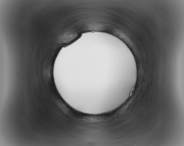 X0000083590305200703091725
