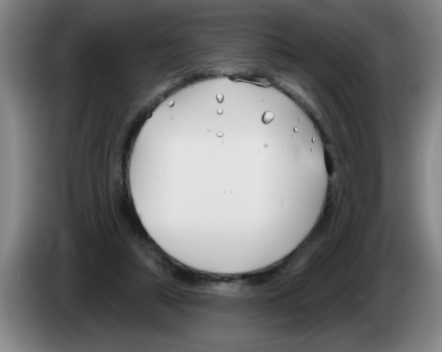 X0000083590306200703091725