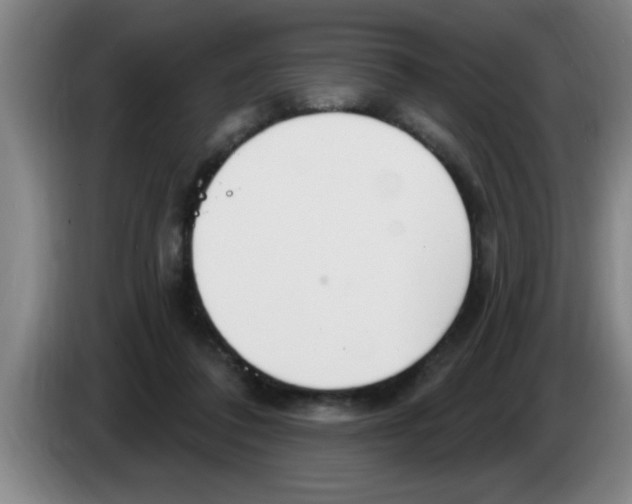 X0000083590308200703091725