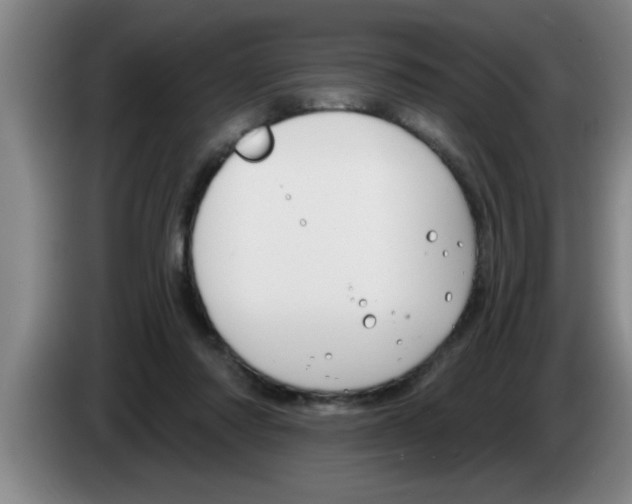 X0000083590310200703091725