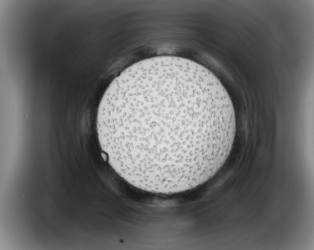 X0000083590311200703091725