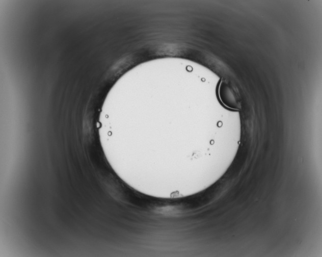 X0000083590312200703091725