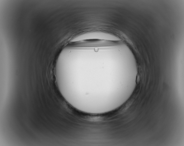 X0000083590313200703091725
