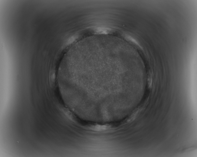 X0000083590314200703091725