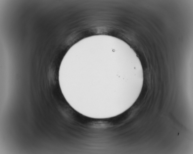 X0000083590316200703091725
