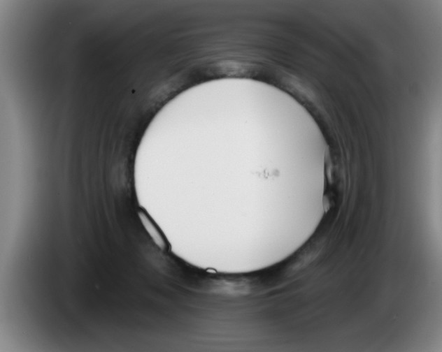 X0000083590317200703091725