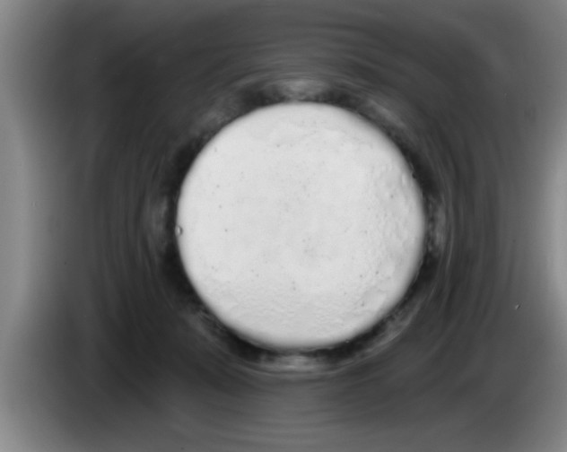 X0000083590319200703091725