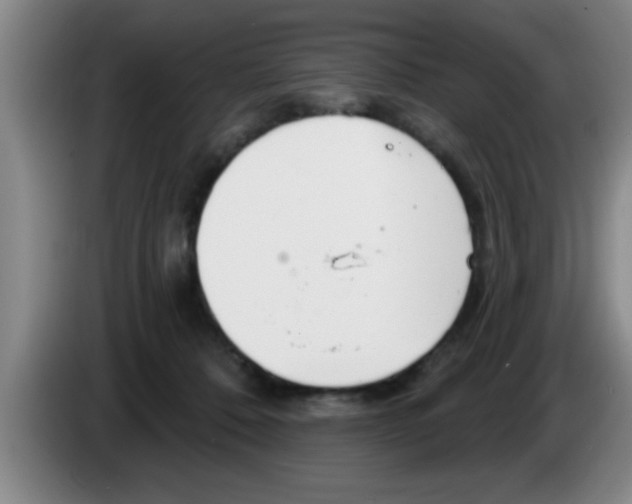 X0000083590320200703091725