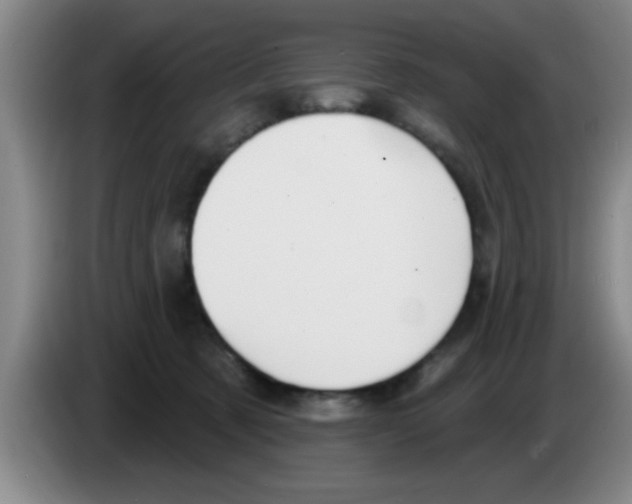 X0000083590321200703091725