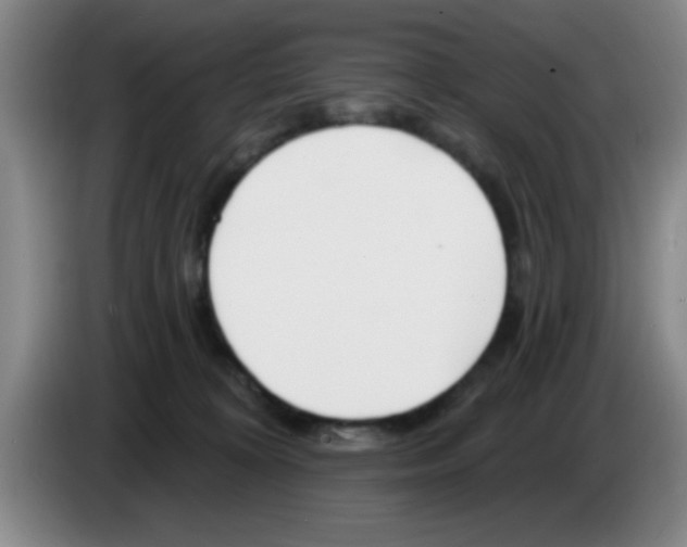 X0000083590324200703091725