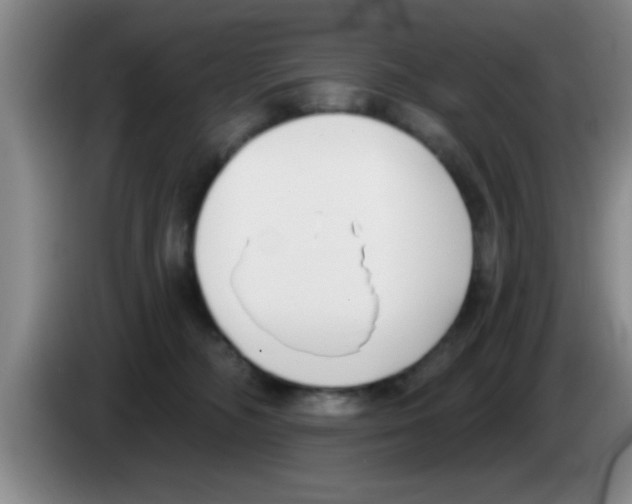 X0000083590326200703091725