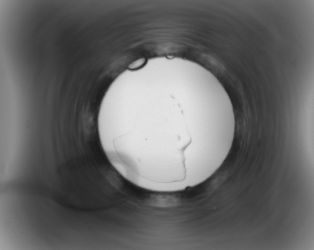 X0000083590327200703091725