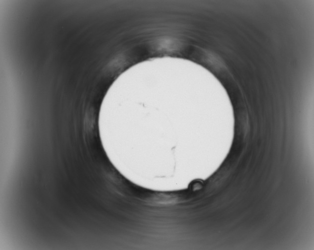 X0000083590328200703091725