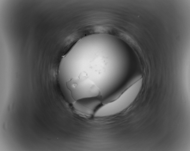 X0000083590329200703091725