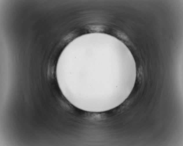 X0000083590330200703091725