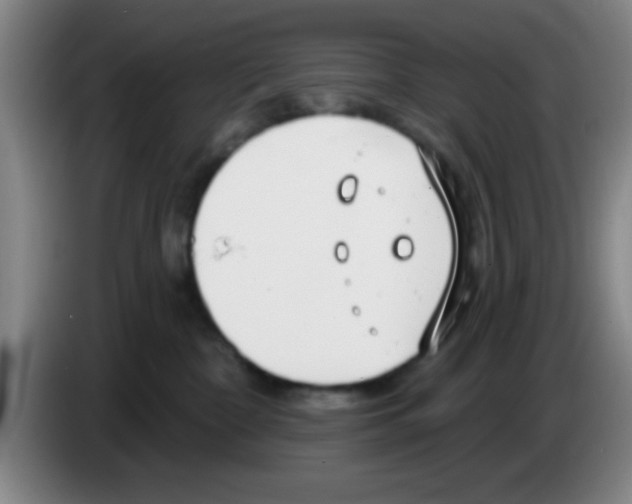 X0000083590332200703091725