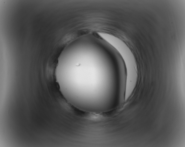 X0000083590333200703091725