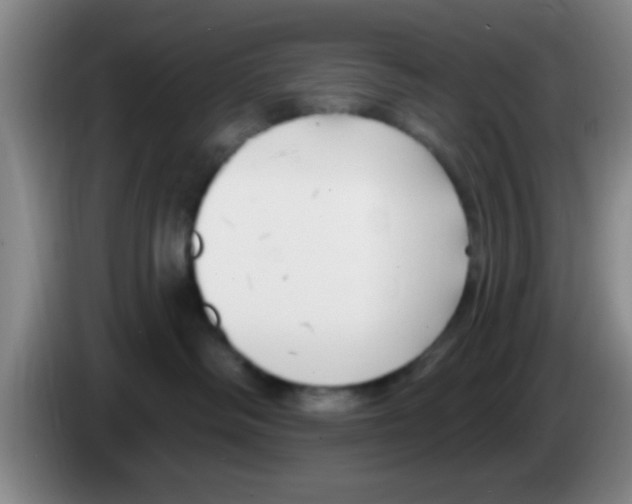 X0000083590334200703091725