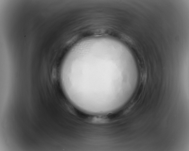 X0000083590335200703091725