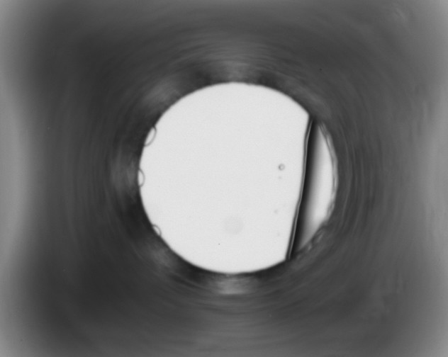X0000083590336200703091725