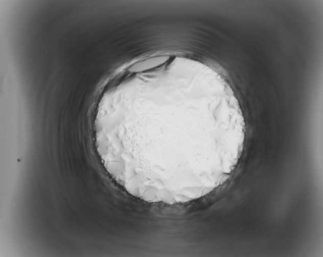 X0000083590337200703091724