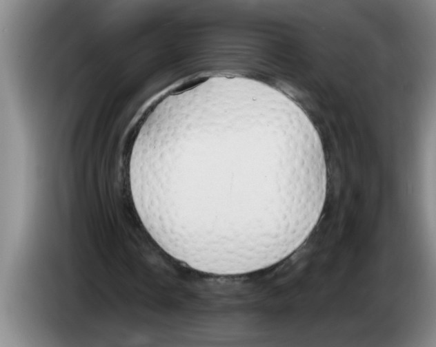 X0000083590338200703091724