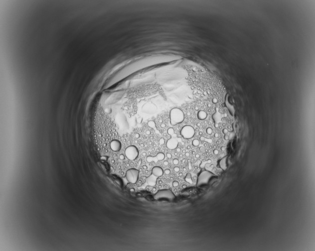 X0000083590339200703091724