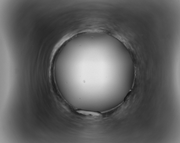 X0000083590340200703091724
