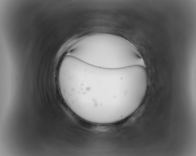 X0000083590341200703091724