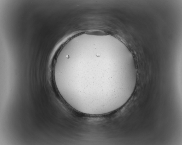 X0000083590342200703091724