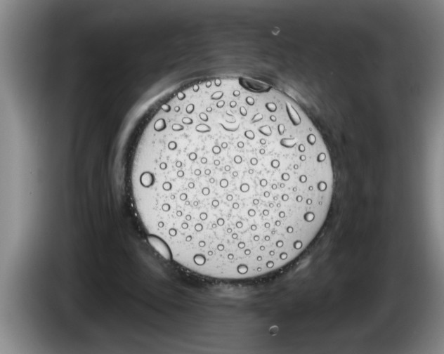 X0000083590343200703091724