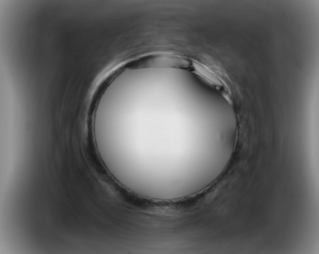 X0000083590344200703091724