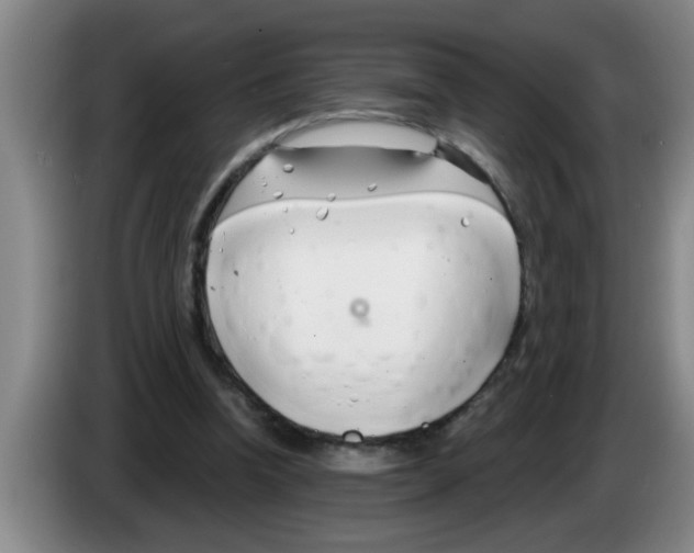 X0000083590346200703091724