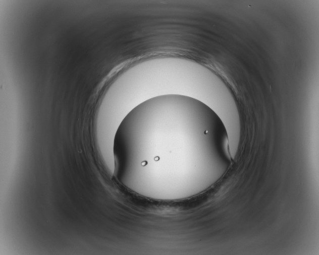 X0000083590348200703091724