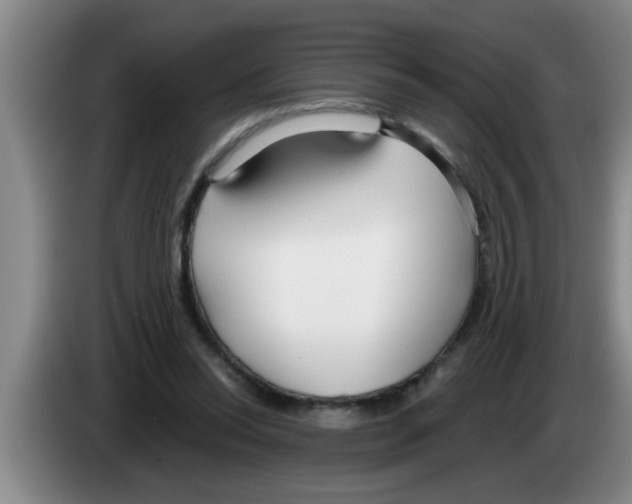 X0000083590350200703091724