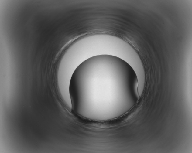 X0000083590351200703091724