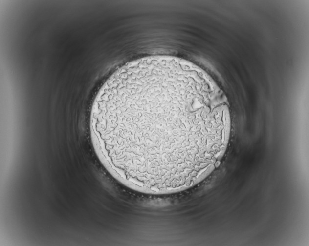 X0000083590353200703091724