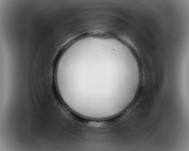 X0000083590354200703091724