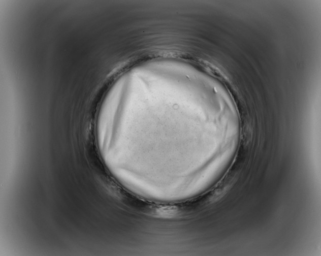 X0000083590355200703091724