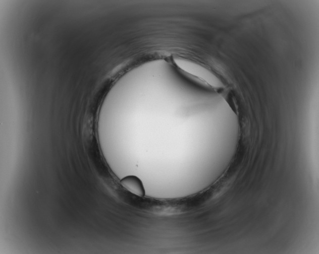 X0000083590356200703091724