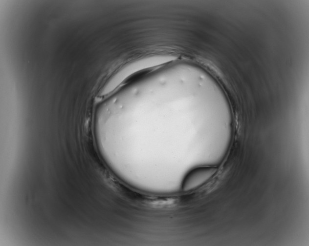 X0000083590357200703091724